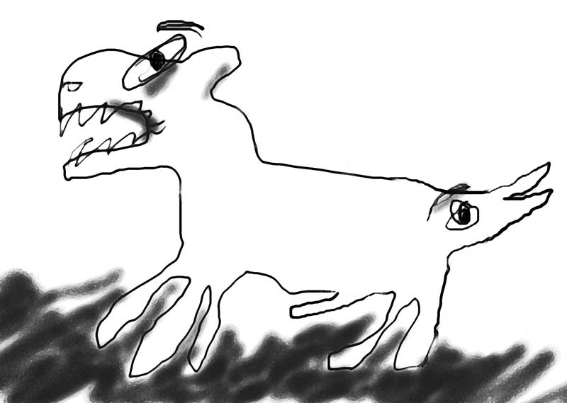 skin_bones.jpg